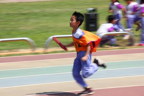 IMG_3117.JPG