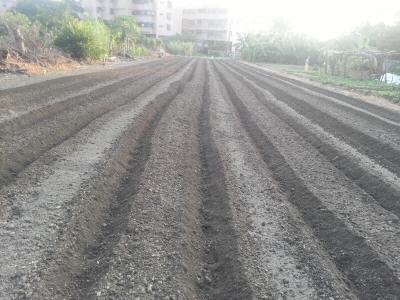 20131008_170419.jpg