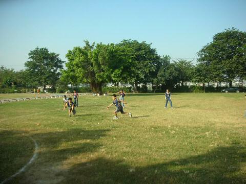 baseball-a1-2.JPG