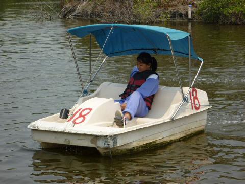 pedalo06-1.JPG