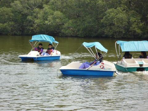 pedalo13-4.JPG
