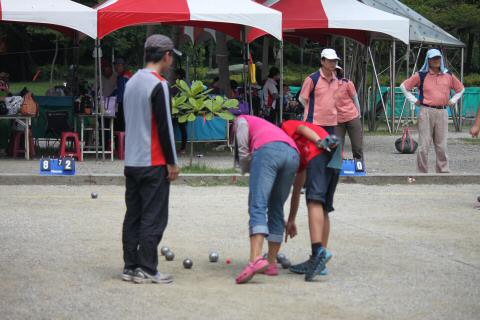IMG_9351_tm.JPG