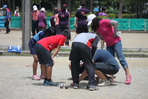 IMG_9355_tm.JPG