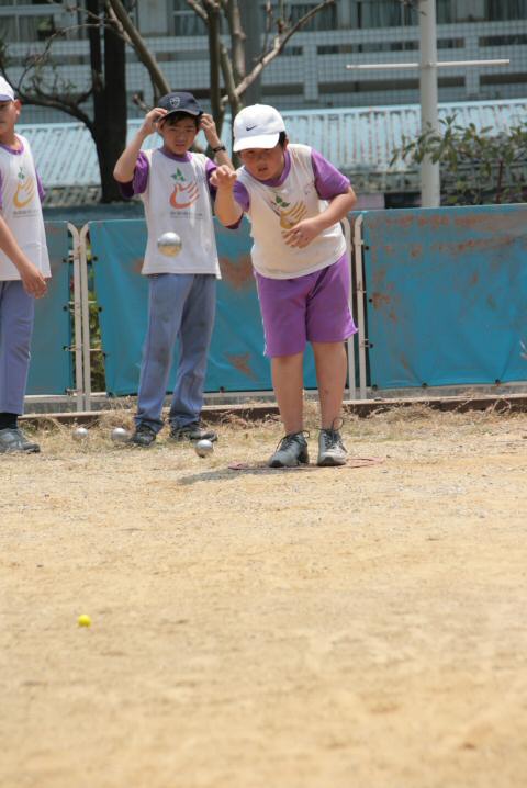 IMG_2595.JPG