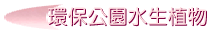 OʹӪ