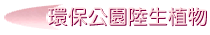 O鳰ʹӪ