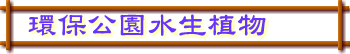 OʹӪ