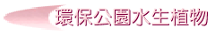 OʹӪ