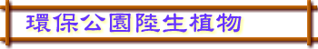 O鳰ʹӪ