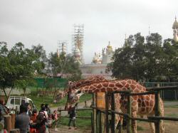 Dscn4113.jpg
