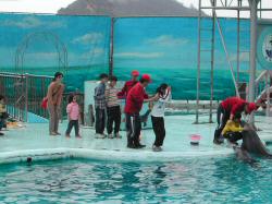 Dscn4126.jpg