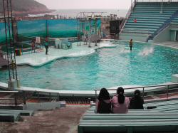 Dscn4129.jpg
