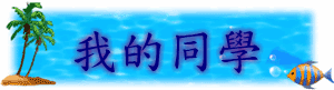 ڪP