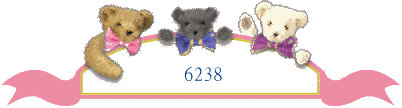 6238