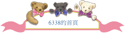 6338