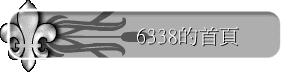 6338
