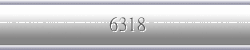 6318
