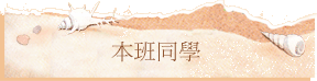ZP