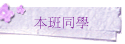 ZP