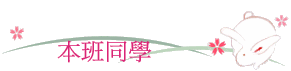 ZP