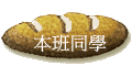 ZP