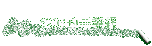 6203~