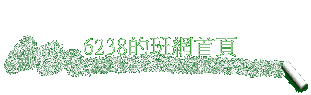 6238Z