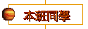 ZP