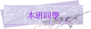 ZP