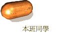 ZP