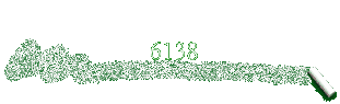 6138