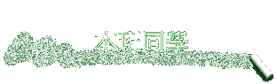 ZP