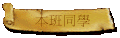 ZP
