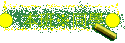 ZPǡ