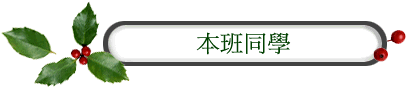 ZP