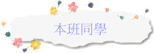 ZP