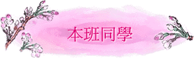 ZP