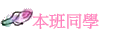 ZP