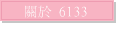  6133