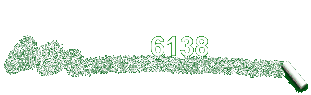 6138