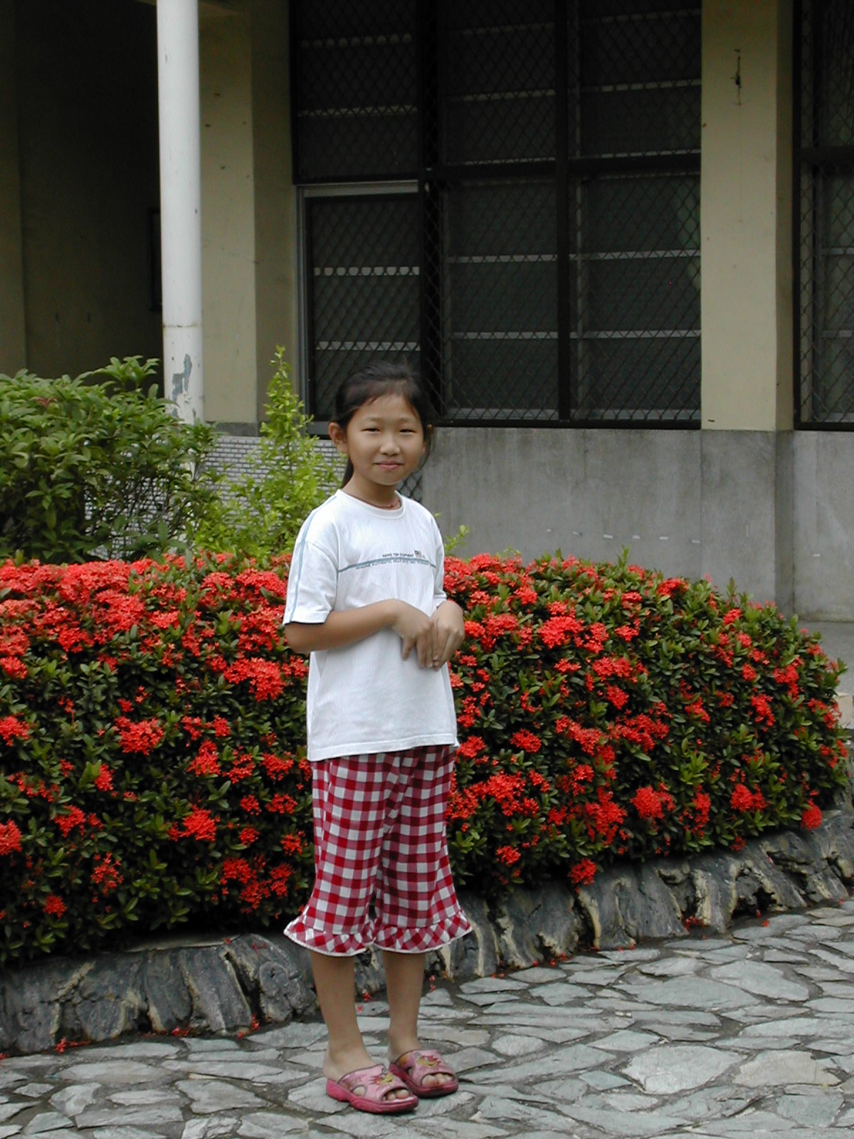 Dscn0741.jpg