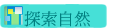 ۵M