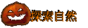 ۵M