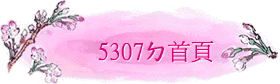 5307x