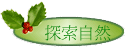 ۵M