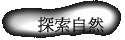 ۵M