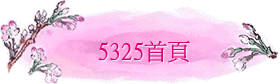 5325