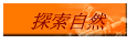 ۵M