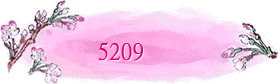 5209