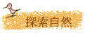 ۵M